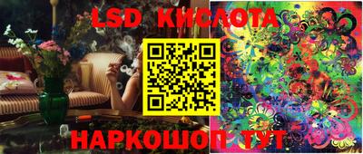 PSILOCYBIN Можга