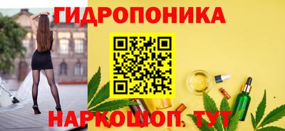 PSILOCYBIN Можга
