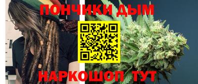 PSILOCYBIN Можга