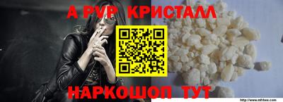 PSILOCYBIN Можга