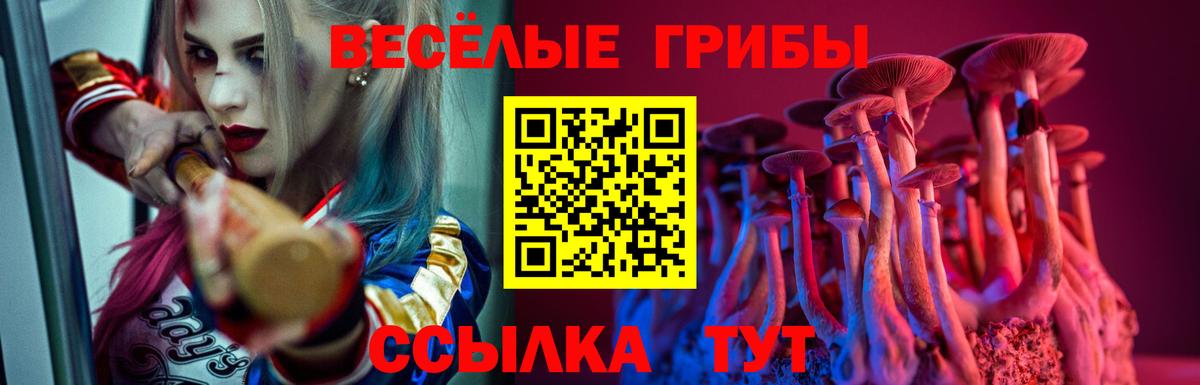 Галлюциногенные грибы MAGIC MUSHROOMS Черкесск
